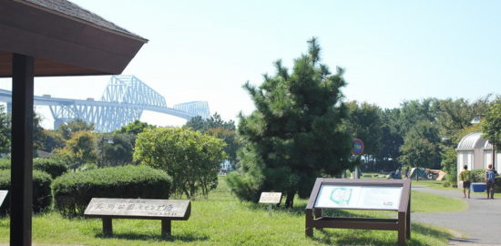 若洲公園キャンプ場は安くて、早くて、便利！焚火クラブの様子も！