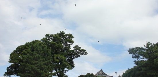 自動車ローン（マイカーローン）を利用することになりそうなので備忘録！