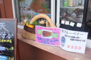 富士見パノラマのルバーブソフトクリーム