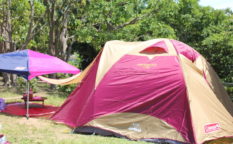 日帰りキャンプ（デイキャンプ）の持ち物を紹介！テント宿泊に向けての第１歩！