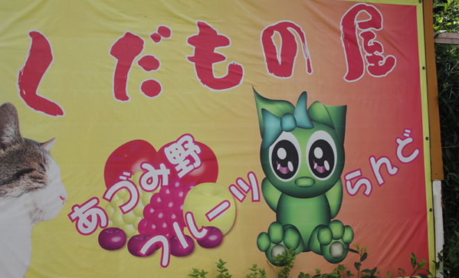 安曇野フルーツらんどでブルーベリー狩り こどもとともに