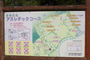 昭和の森のアスレチック