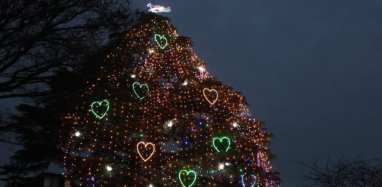 中山競馬場の2018年イルミネーション（クリスマスツリー点灯式）は11月25日！？