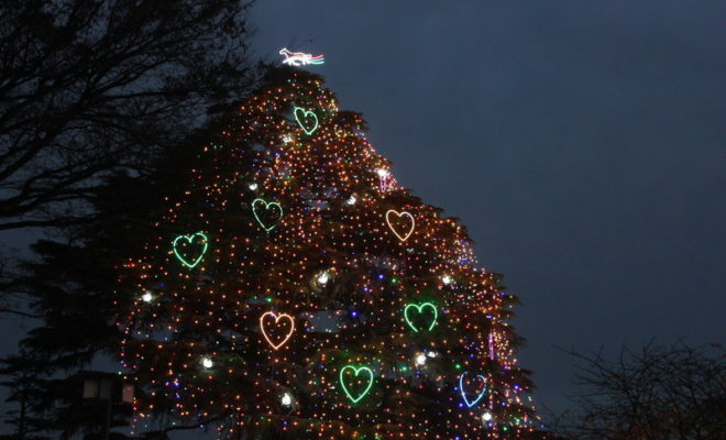 中山競馬場の2018年イルミネーション（クリスマスツリー点灯式）は11月25日！？