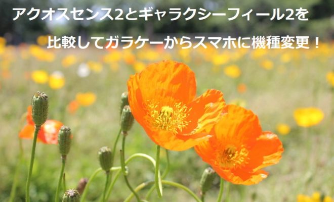 アクオスセンス2（SH-01L）とギャラクシーフィール2（SC-02L）を比較してガラケーからスマホに機種変更！
