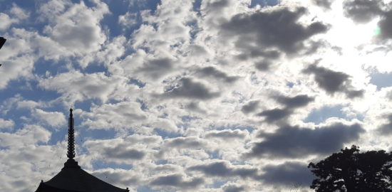 新型コロナウイルスの影響でトイレットペーパーが売り切れたが次はティッシュペーパー！？